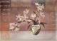 *OBRAZ Z LILIAMI AE0253/5L, 26x36